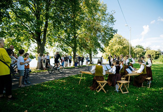 Homo Novus 2013