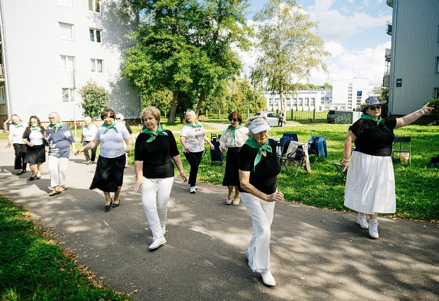 Homo Novus 2013