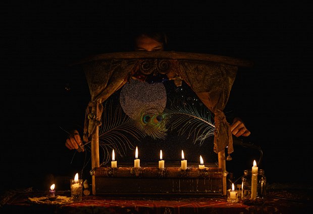 Homo Novus 2013