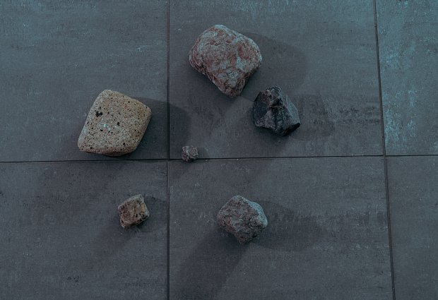 Homo Novus