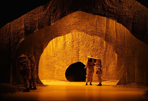 Homo Novus 2013